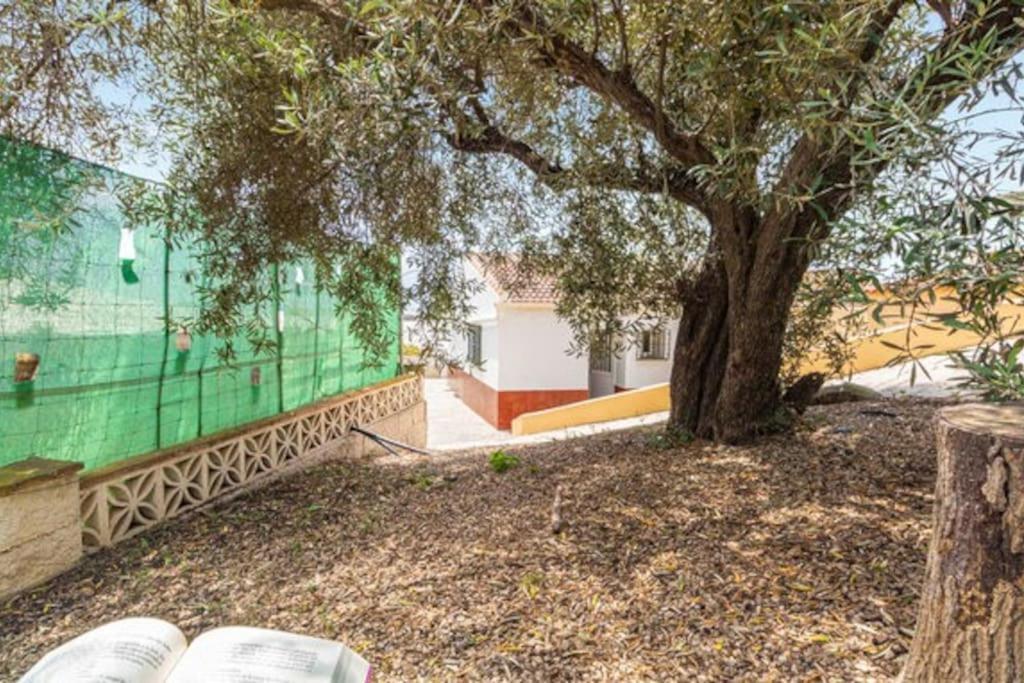 Casa Candiles Torrox Exterior photo